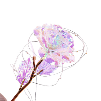 LED Rose Glass Dome Light Romantic Gift Decor Lamp