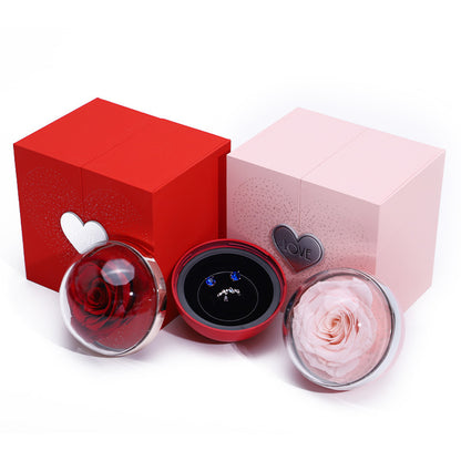 Three decorative items in red, black, and pink boxes on a white background