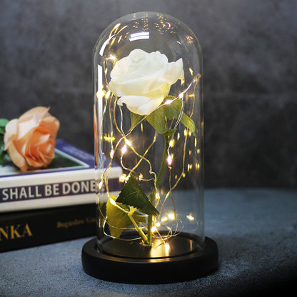 LED Rose Glass Dome Light Romantic Gift Decor Lamp