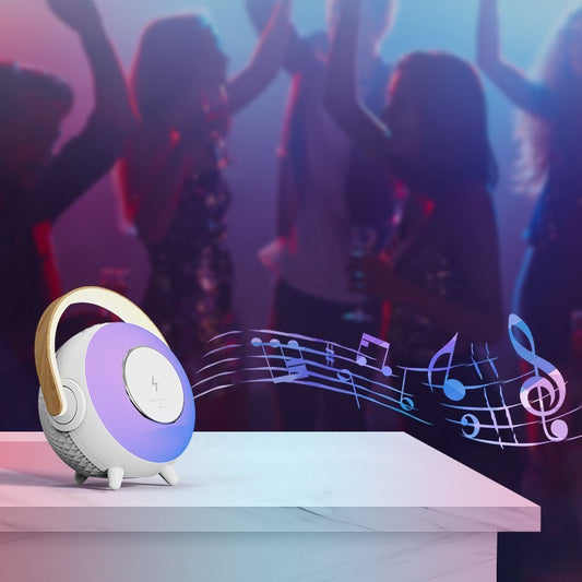 Outdoor Portable Bluetooth Speaker