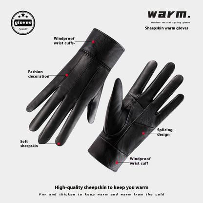 Black sheepskin warm gloves with features highlighted on a white background
