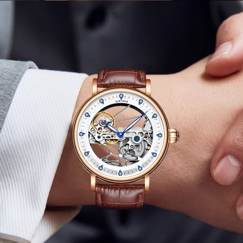 Luxury watch with brown leather strap on a person's wrist