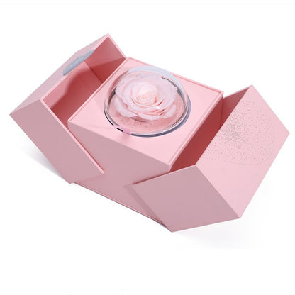 Pink rose in a glass dome inside an open pink box on a white background