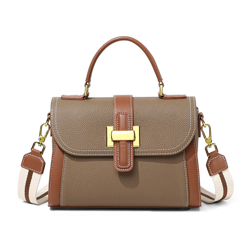 Brown and beige handbag with a gold clasp on a white background